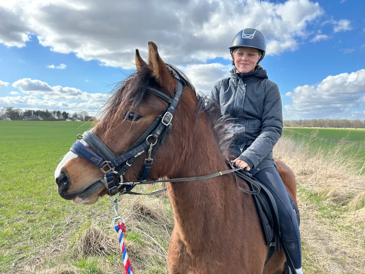 Billede 10 - Fantastisk welsh pony