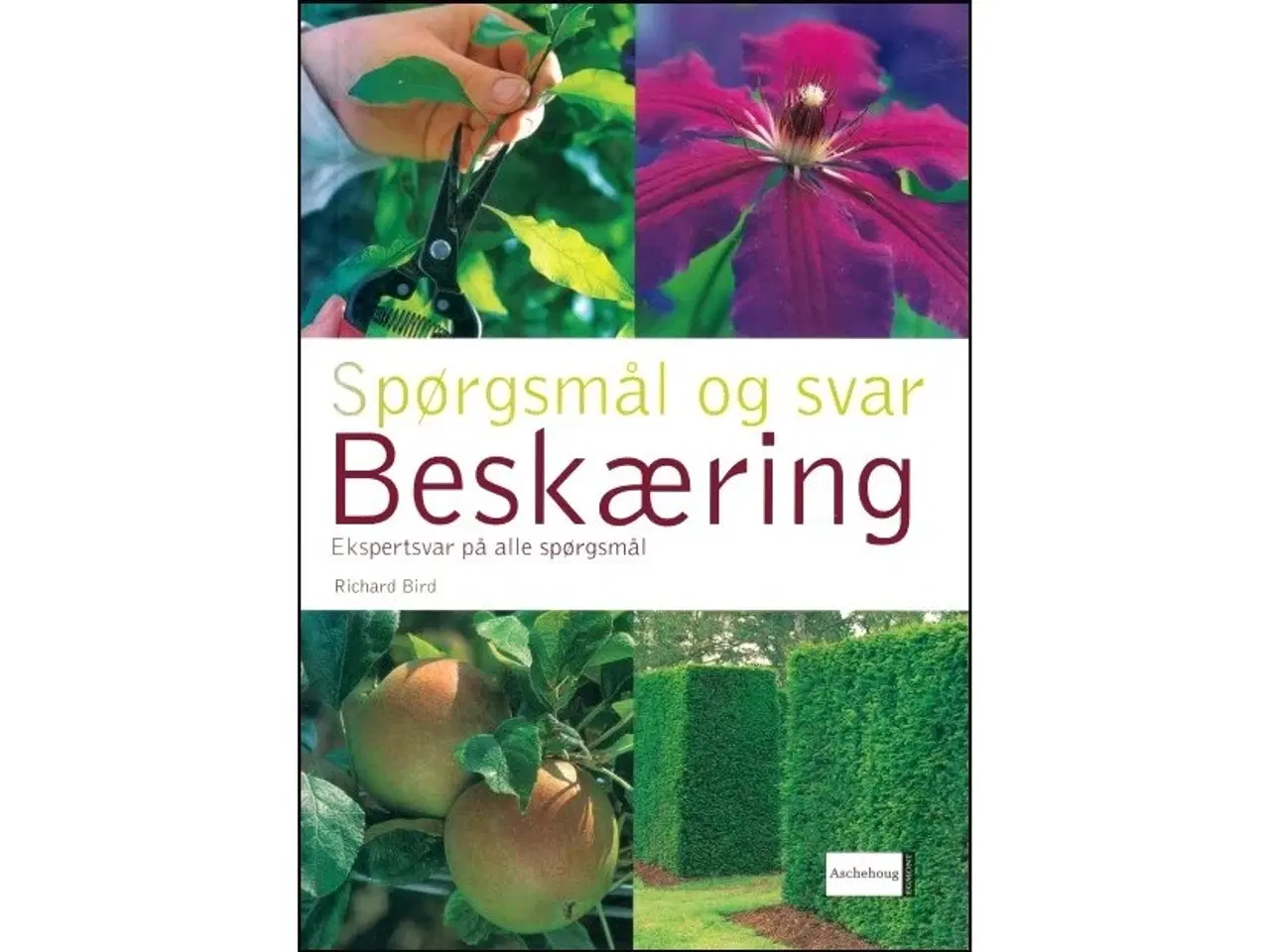 Billede 2 - Politikens Bog om Beskæring