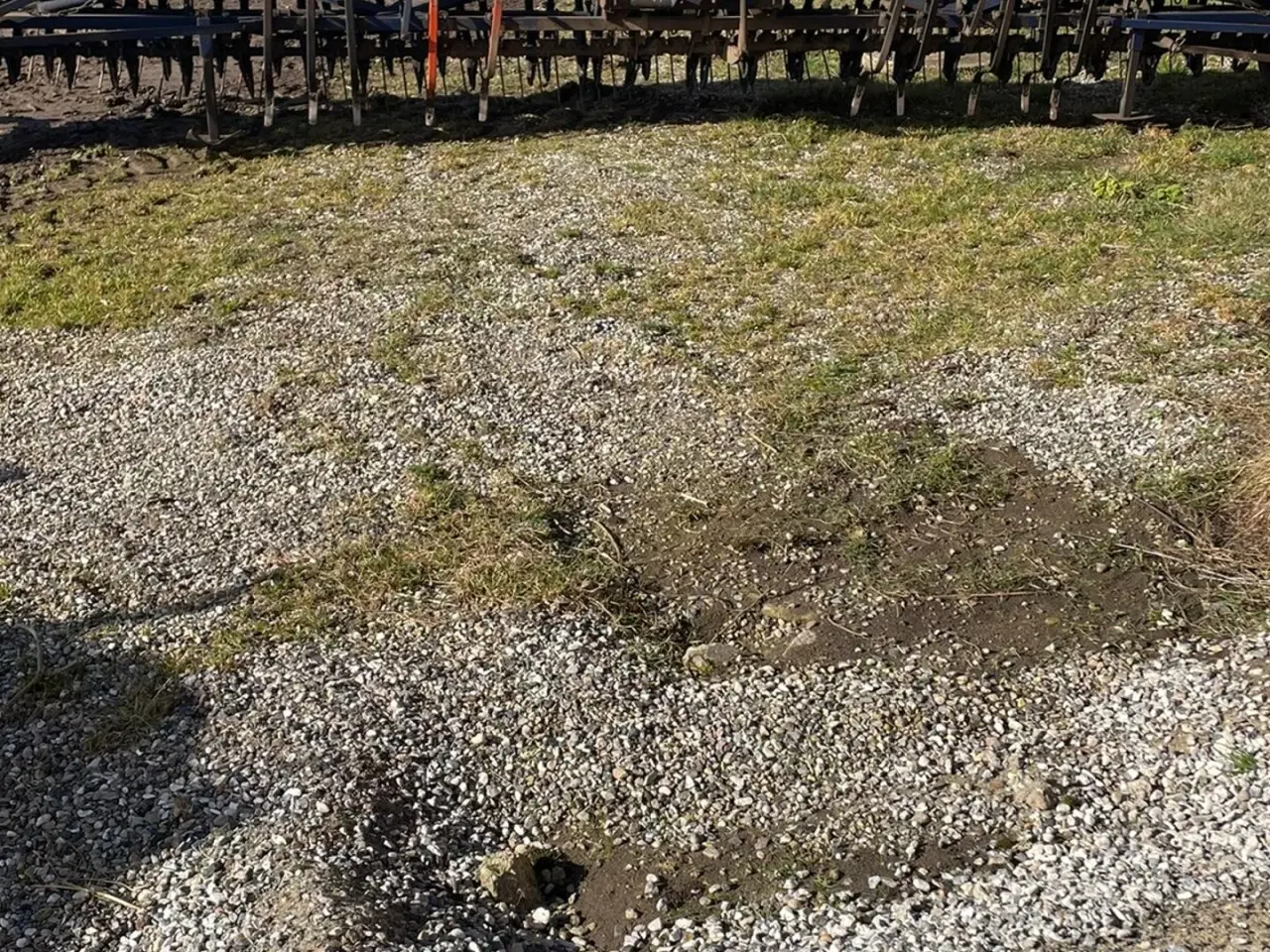 Billede 14 - Nordsten 6M SÅMASKINE MED EFTERHARVE, RAPSFINGRE, + DIV RESERVEDELE