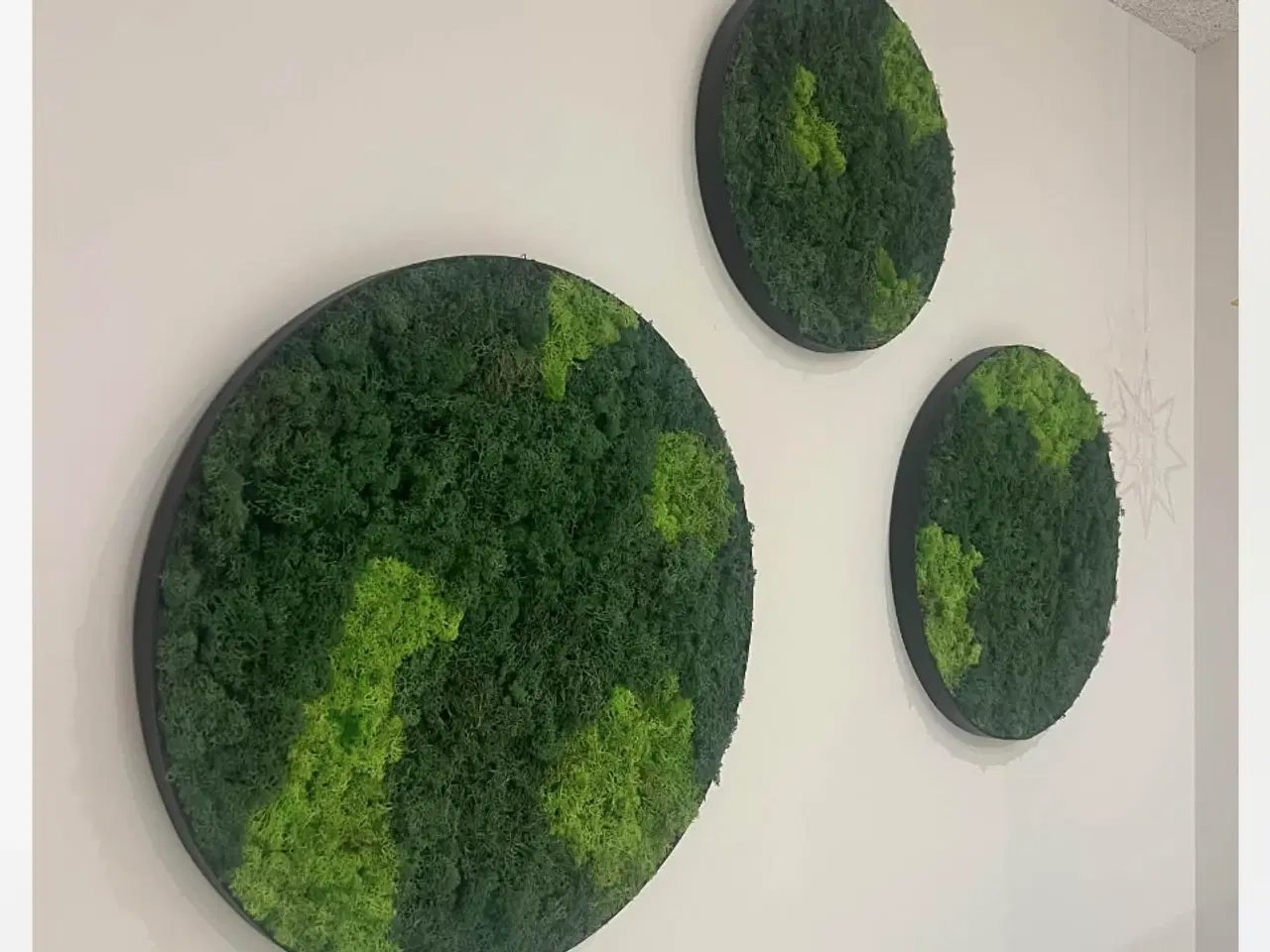 Billede 9 - Mos billeder vi laver 