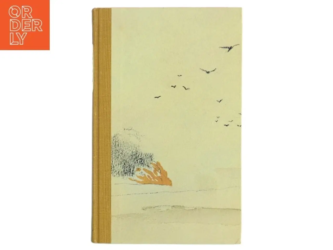 Billede 1 - The Sketch Book of Geoffrey Crayon (Bog)