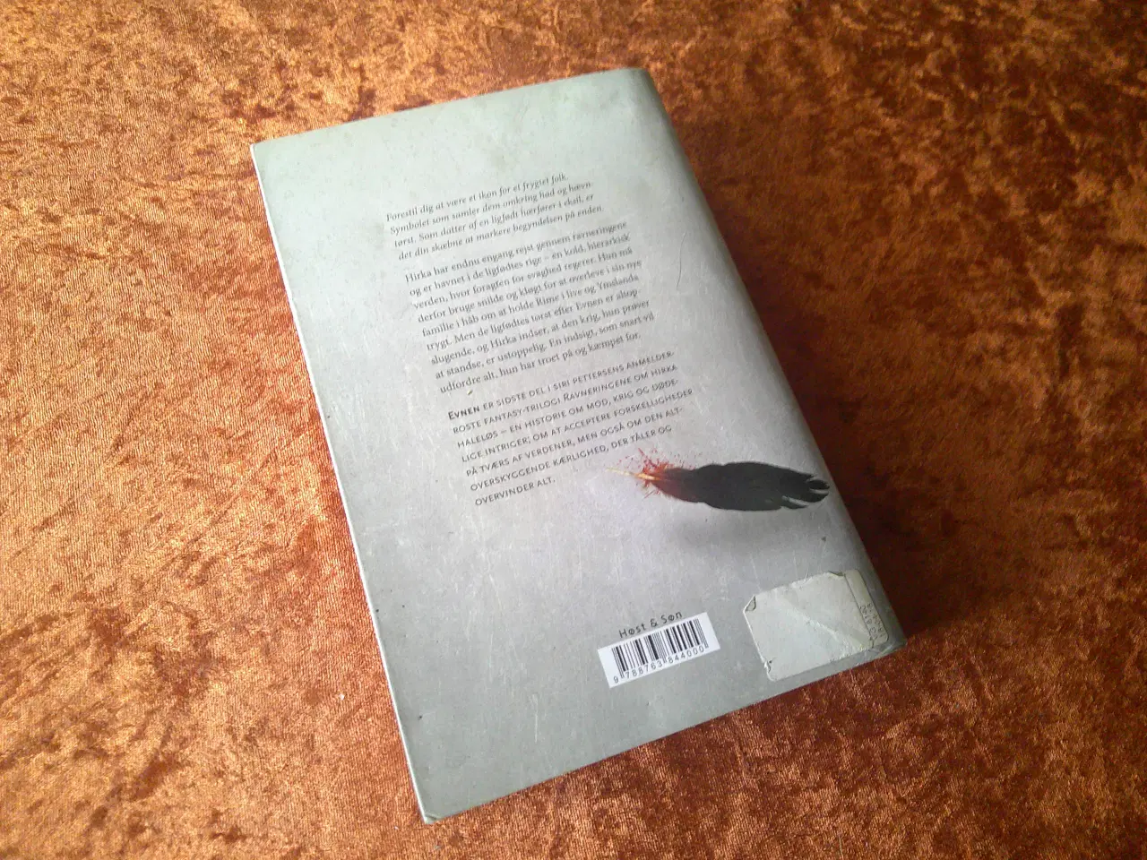 Billede 2 - Evnen, Siri Pettersen