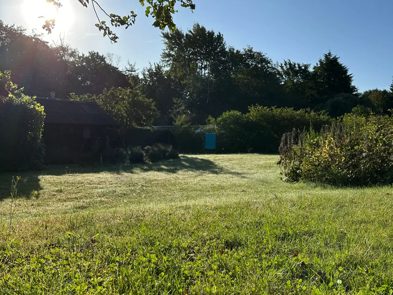 Billede 3 - Skøn kolonihave med fantastisk beliggenhed 