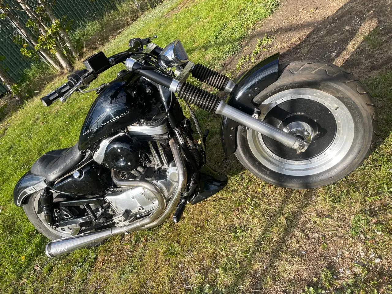 Billede 2 - Sportster
