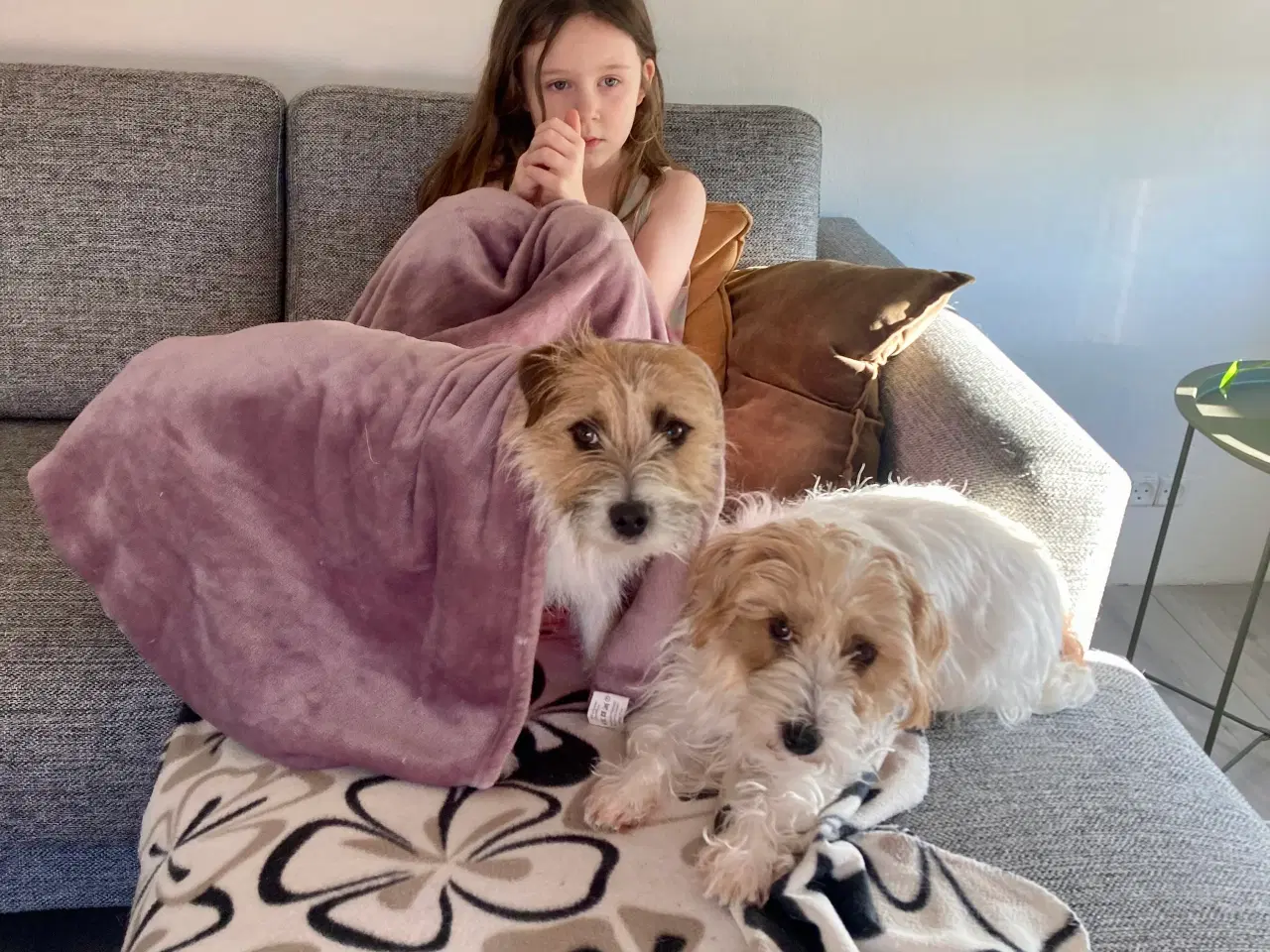 Billede 5 - Trofast følgesvend