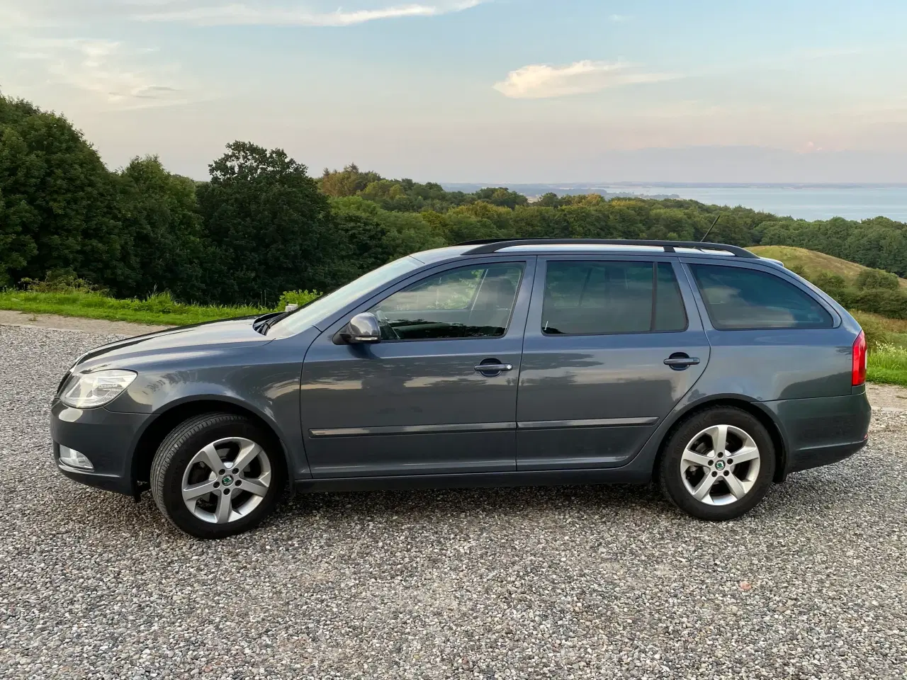 Billede 1 - Skoda Octavia 1,2 TSi Family Combi 5d
