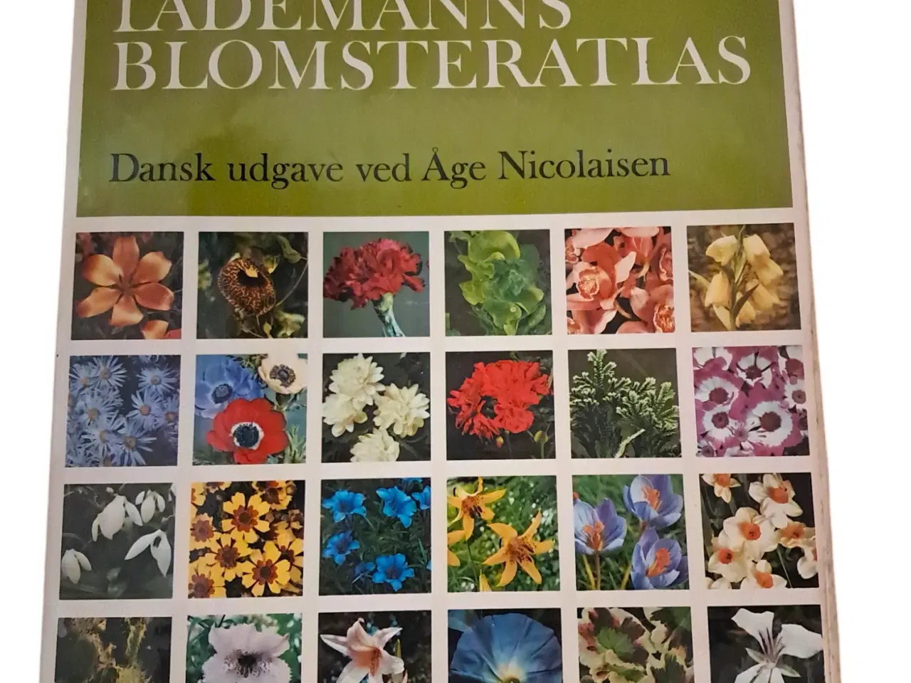 Billede 1 - Blomsteratlas