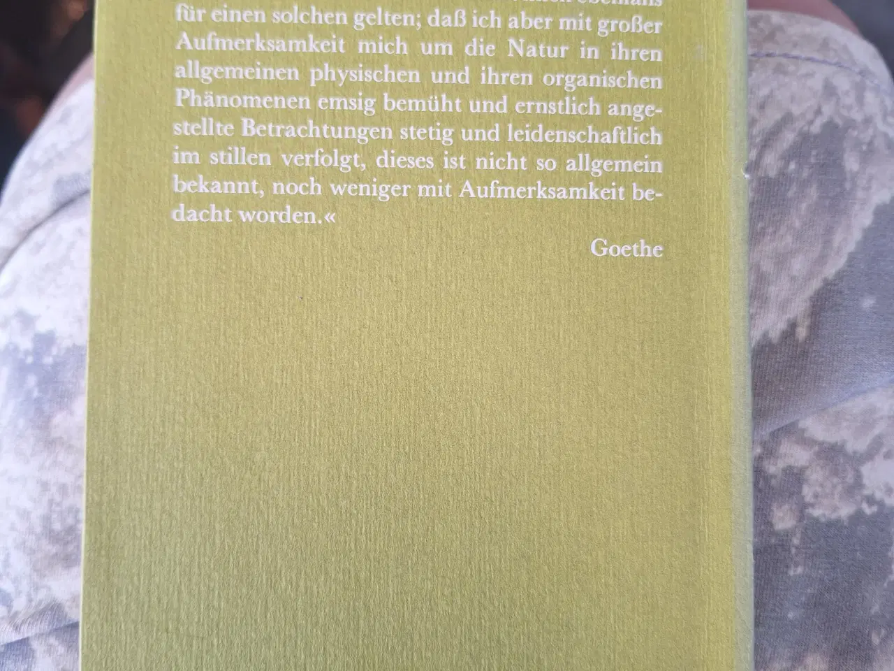 Billede 2 - Alfred Schmidt Goethes herlich ....