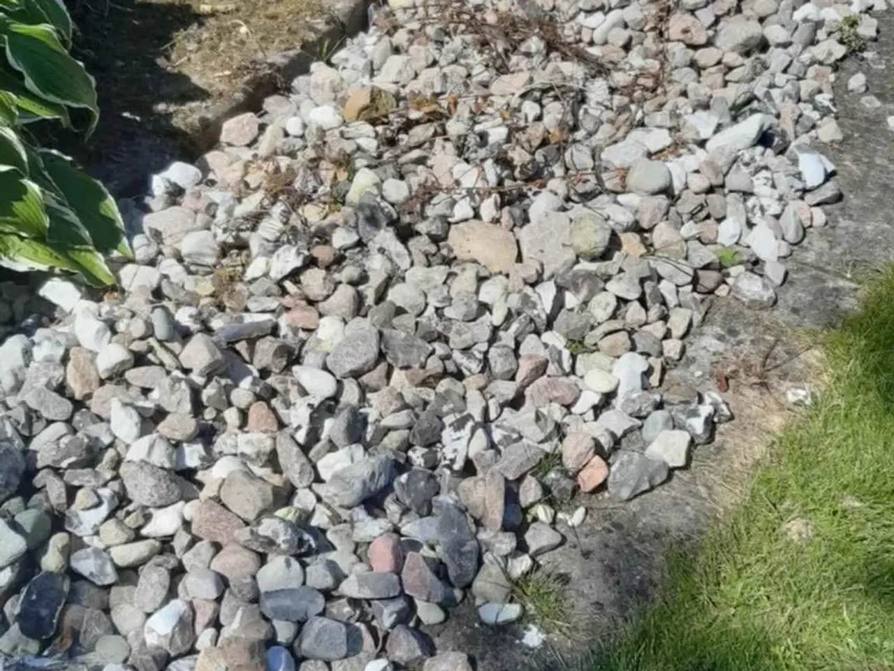 Billede 1 - Sten, strandsten i Korinth ml. Odense og Faaborg