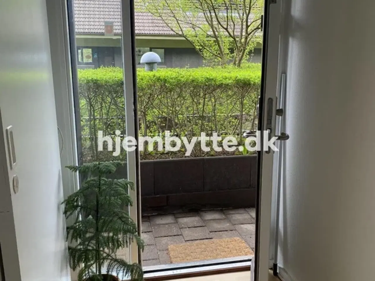 Billede 6 - Hjembytte - Oliemøllegade