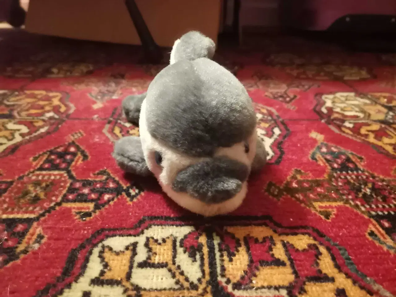 Billede 16 - Josefine sælger ud 10 kr pr stk 🌸