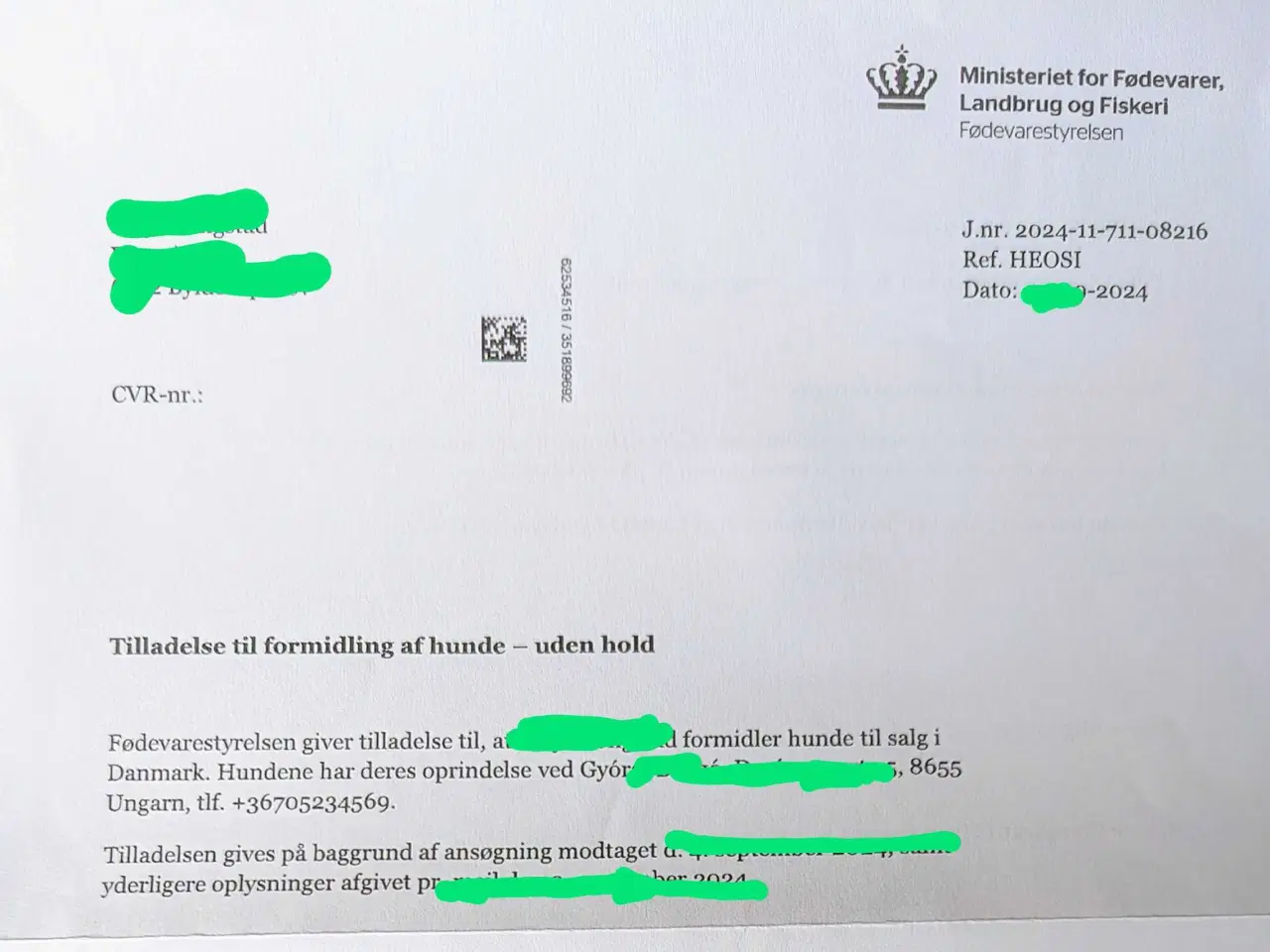 Billede 17 - Fransk bulldog. NEDSAT!
