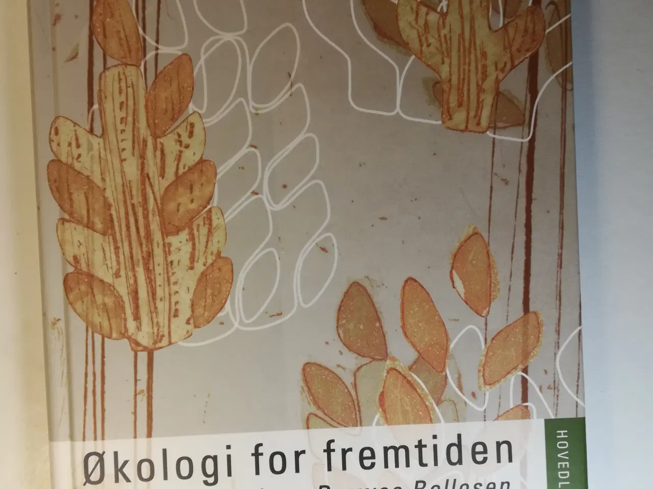 Billede 1 - Økologi for fremtiden, Helena Drewes Bollesen