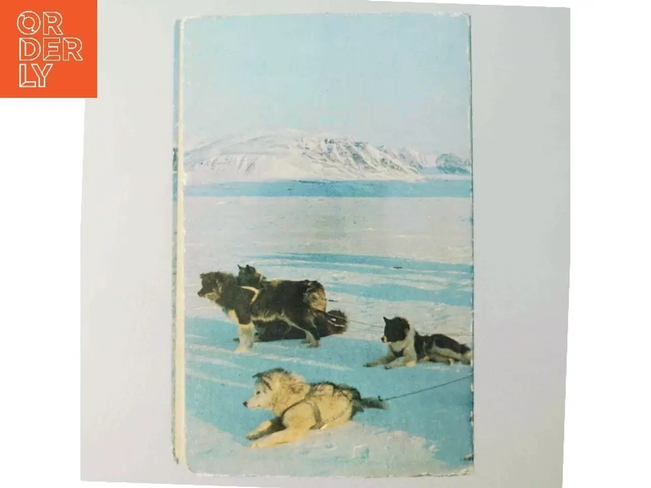 Billede 3 - Johs. Holsting: Grønlands pionerer