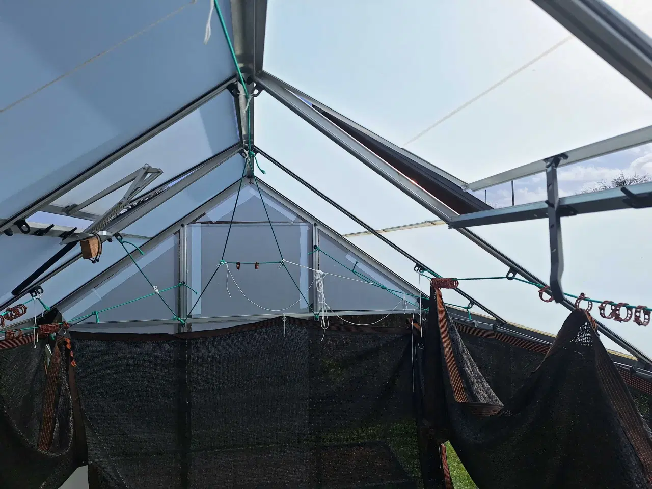 Billede 3 - Drivhus 5m2