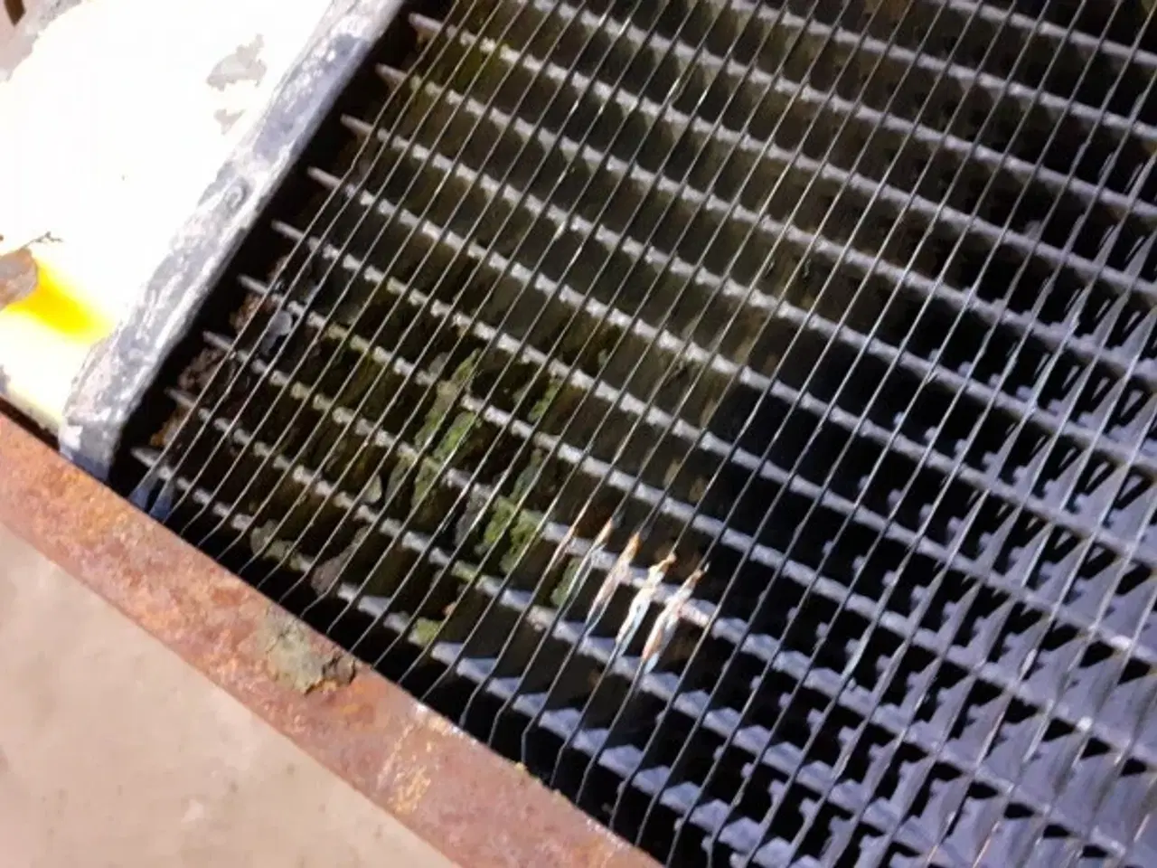 Billede 10 - New Holland 8055 Køler 80450341