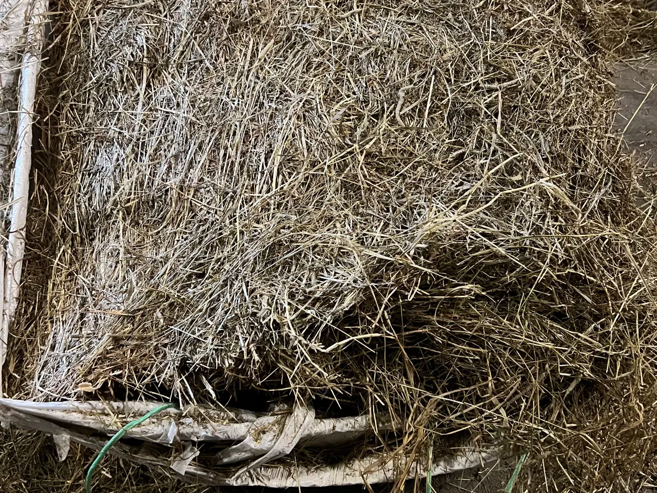 Billede 3 - Super tørt øko heste wrap