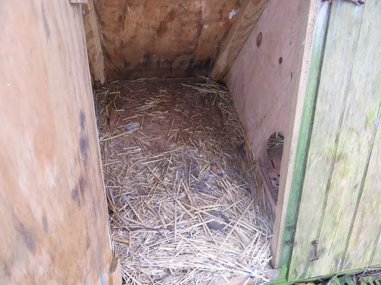 Billede 5 - Kaninbure og mini hønsehus