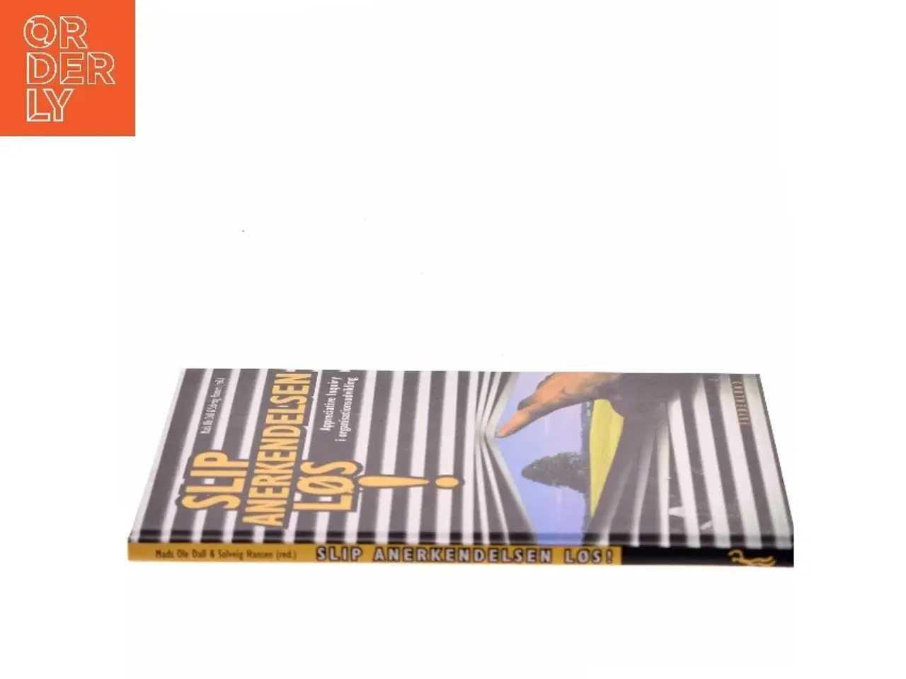 Billede 2 - Slip anerkendelsen løs! : appreciative inquiry i organisationsudvikling af Mads Ole Dall (Bog)