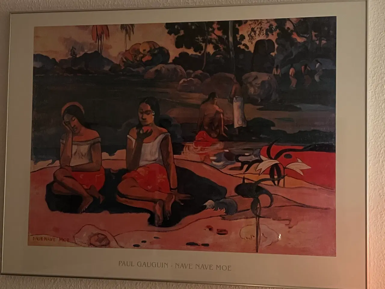 Billede 1 - Nave nave moe