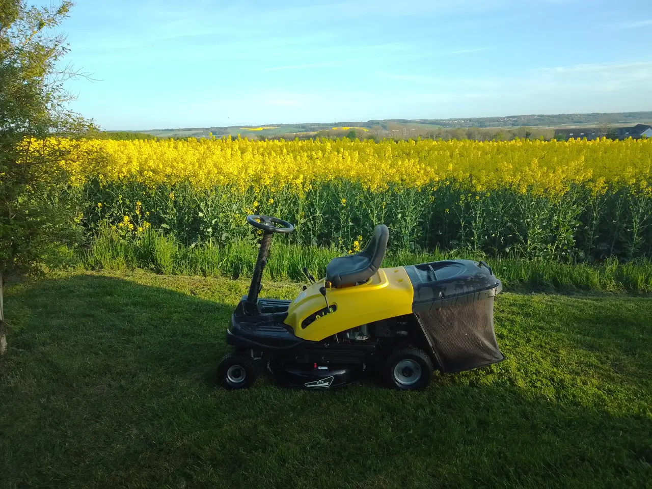 Billede 10 - Texas Rider Havetraktor med opsamler