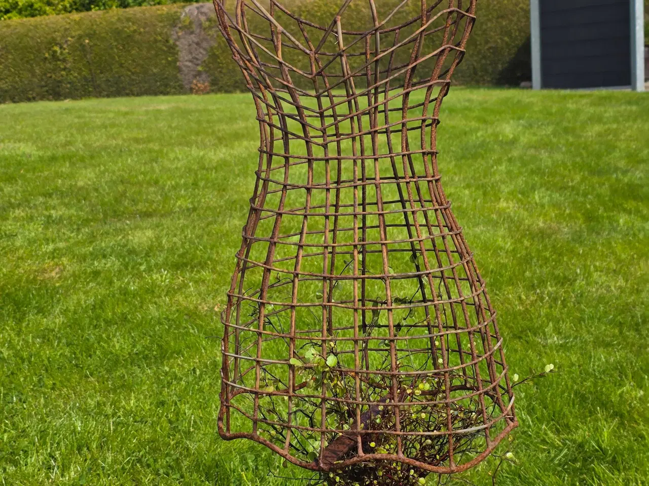 Billede 3 - Planter