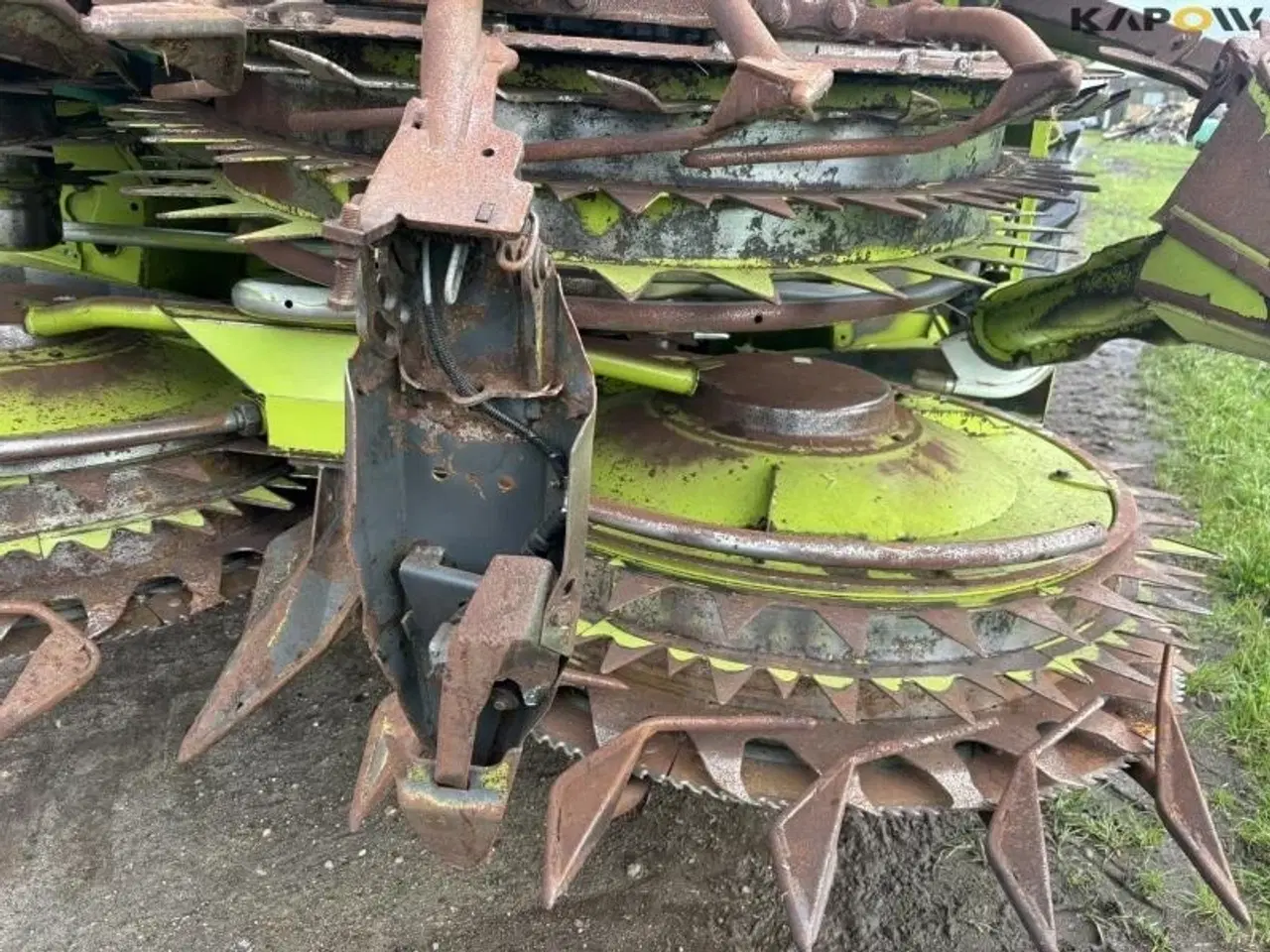 Billede 6 - CLAAS Orris 750 Majsskærebord
