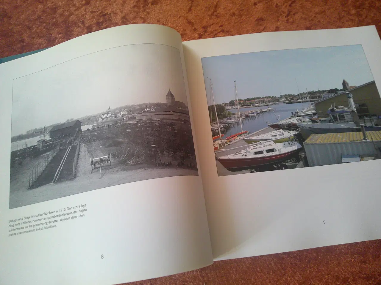 Billede 2 - Stegebilleder, Marianne Rimmen Raasted m. fl