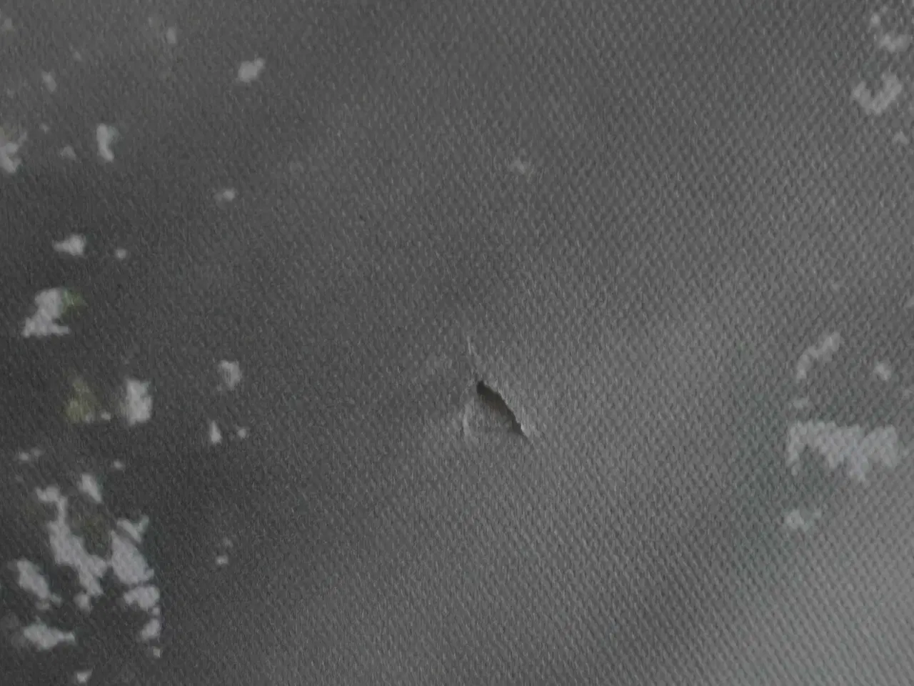 Billede 4 - Rigtig flot Skov Billed på Lærred 