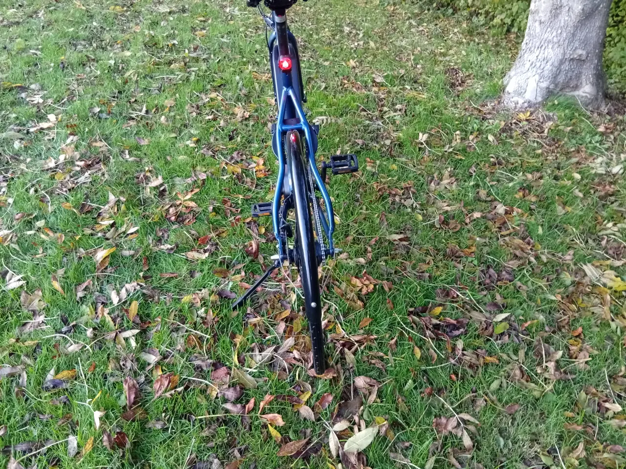 Billede 6 - Mustang Elcykel med centermotor fra 2024/Stort Bat