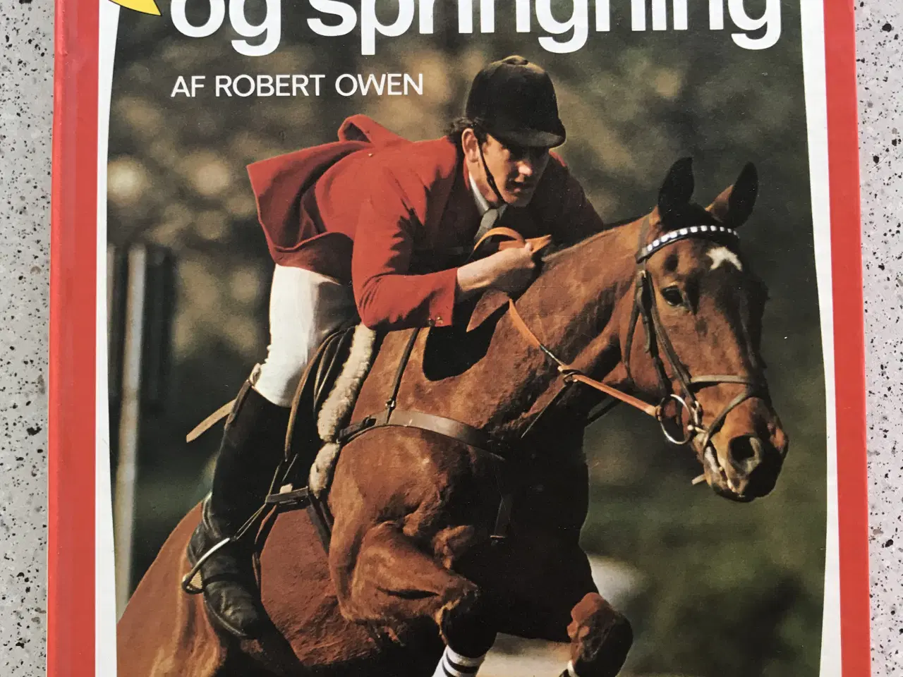 Billede 1 - Ridning og springning