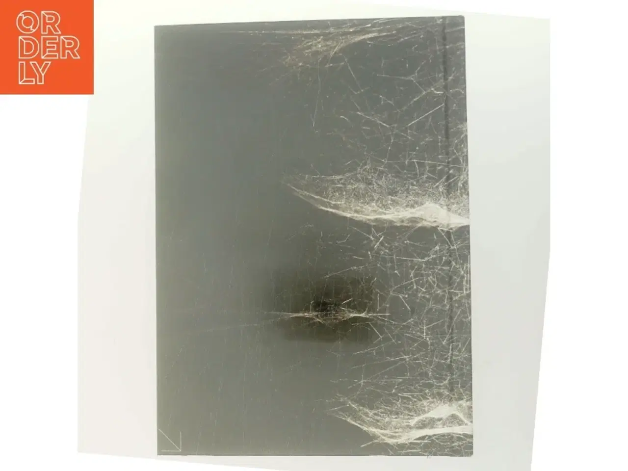 Billede 3 - Event Horizon af Tomas Saraceno (Bog)