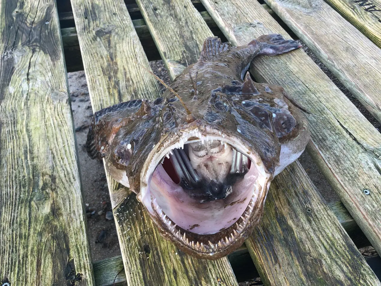 Billede 5 - NYT TOGGEGARN - Syet på 100 % NYE over/ undertælle