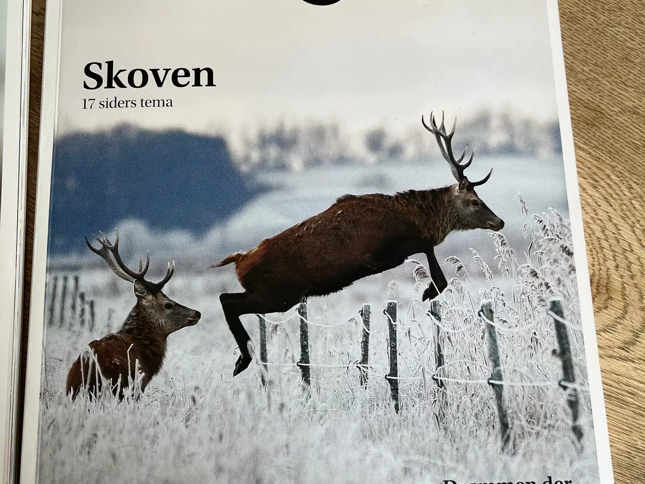 Billede 3 - Magasinet Jæger