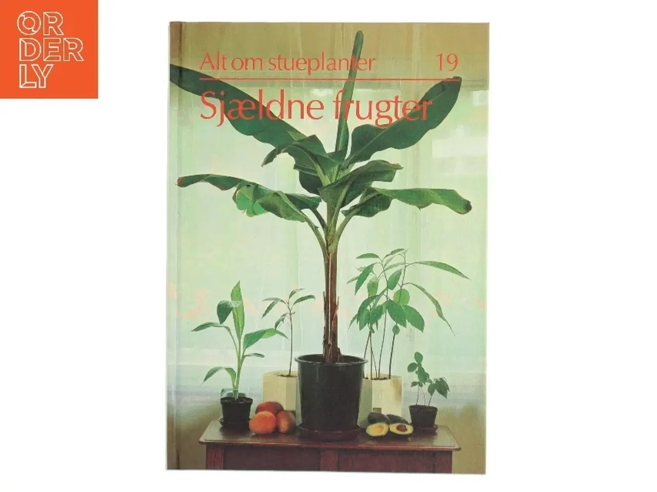 Billede 1 - Sjældne frugter (Bog)