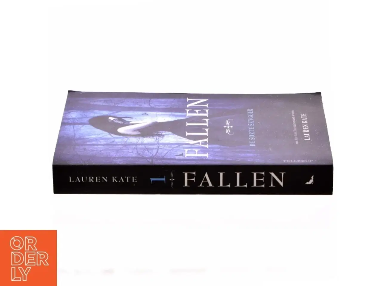 Billede 2 - Fallen af Lauren Kate (Bog)