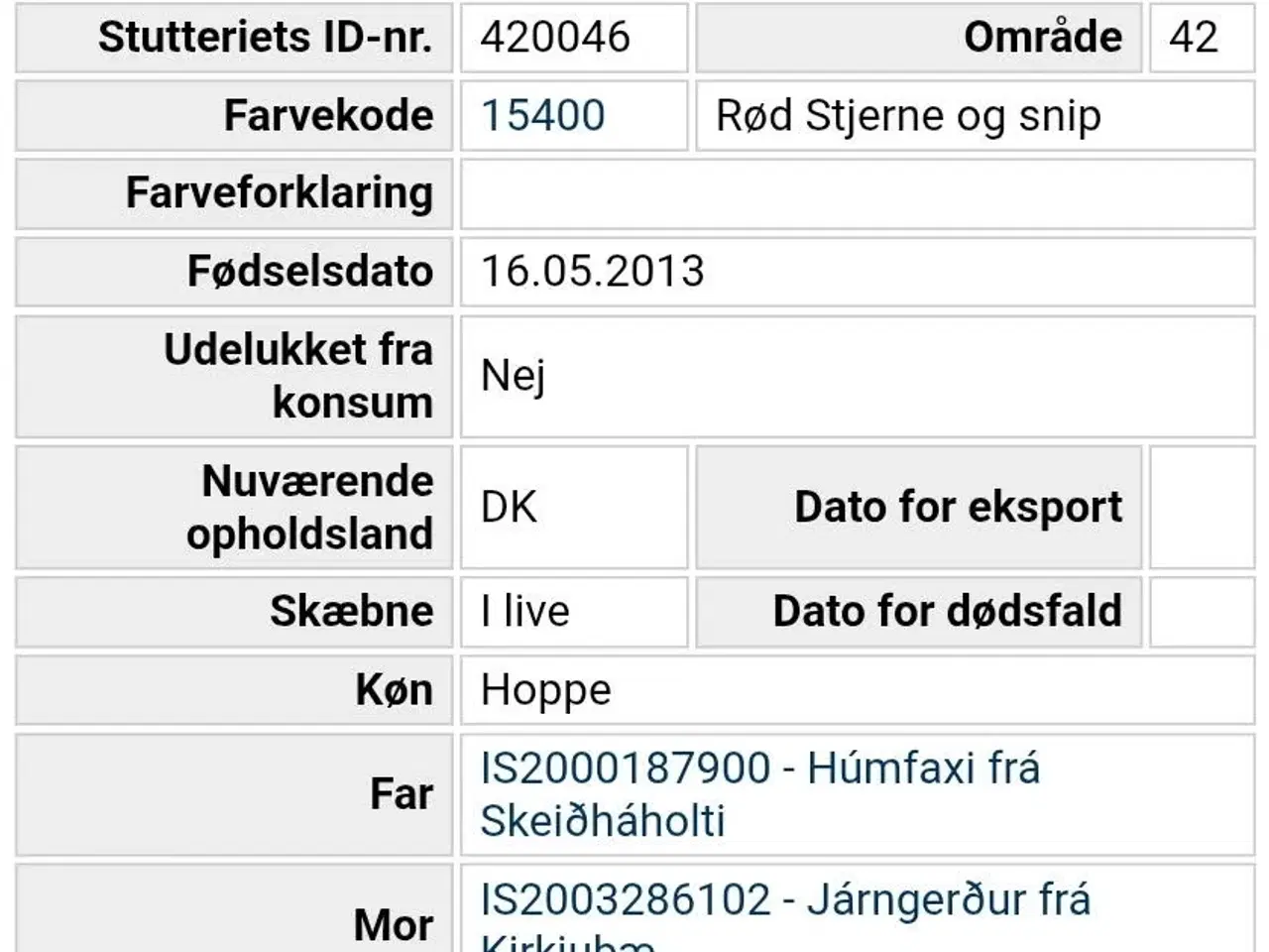 Billede 7 - Skøn lille islænder 