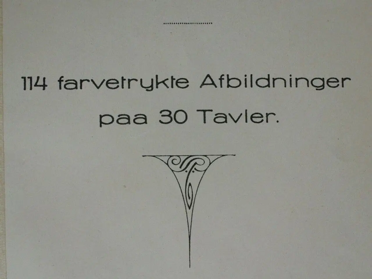 Billede 2 - roms plante-album, emne: biologi og botanik