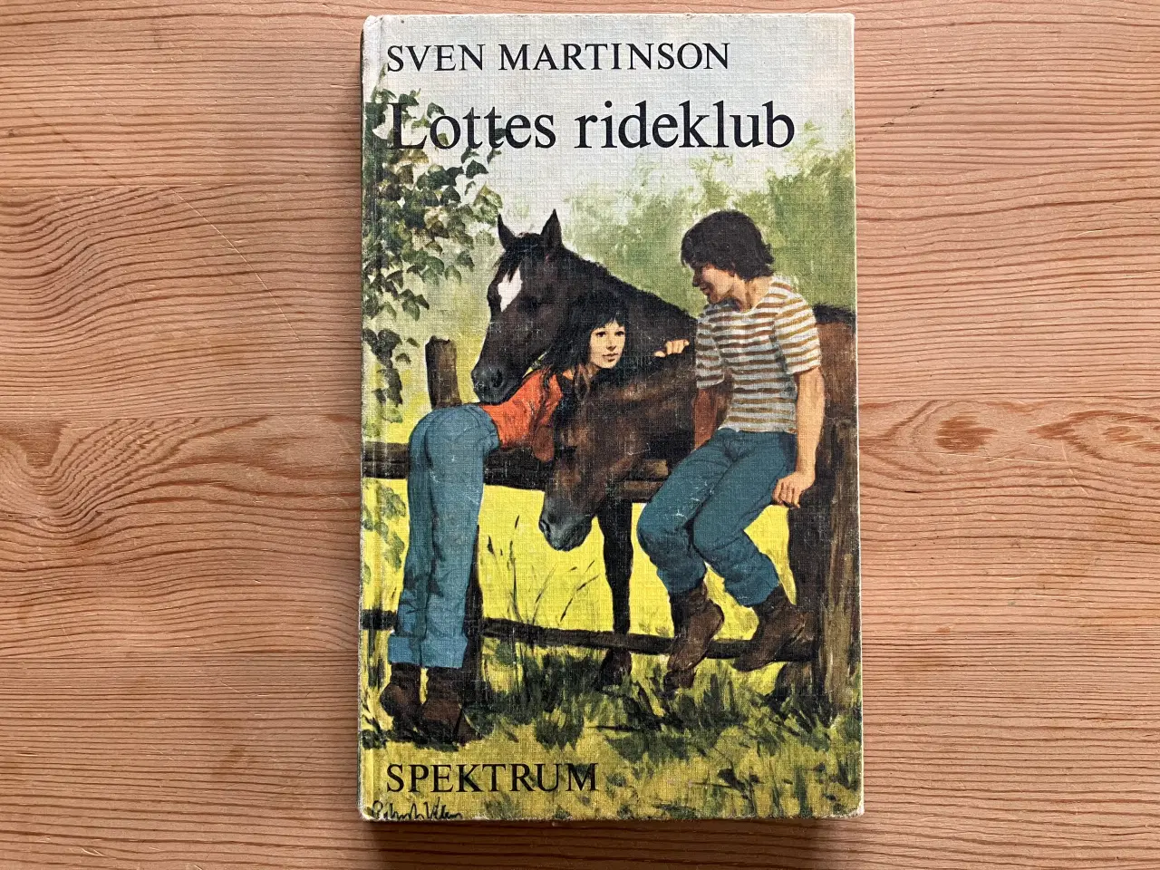 Billede 9 - Hestebøger, Britta bøger, Lykke bøger m.fl.