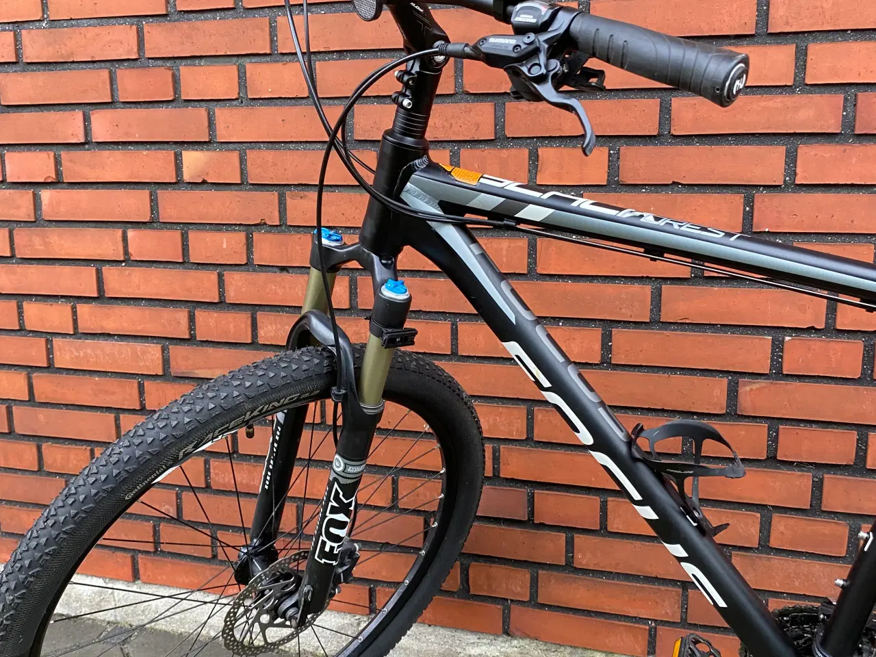 Billede 1 - MTB Focus Black Forest 29R