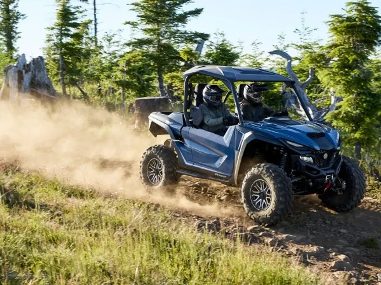 Billede 7 - Yamaha Wolverine RMAX2 1000 LE