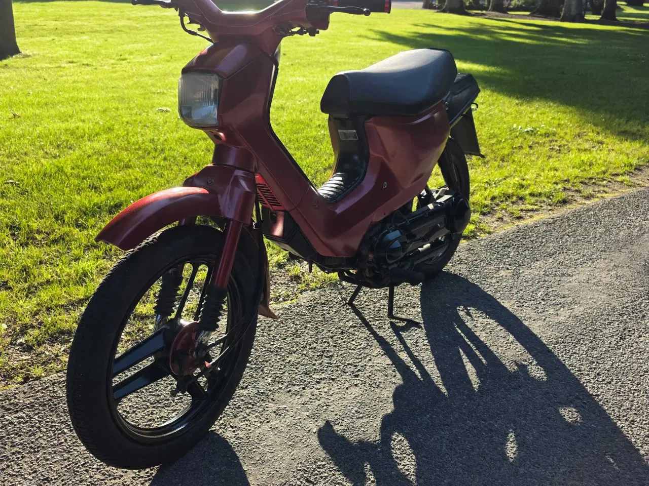 Billede 3 - Honda wallaroo 