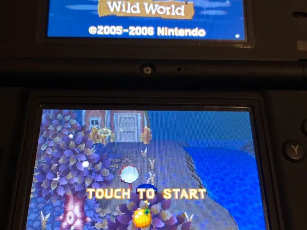 Billede 2 - DSI+ Animal Crossing: Wild World