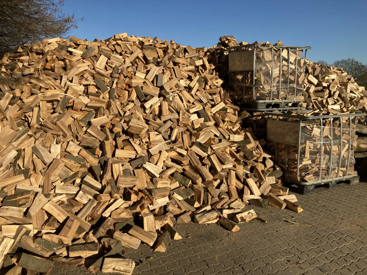 Billede 4 - Brænde af bøgetræ