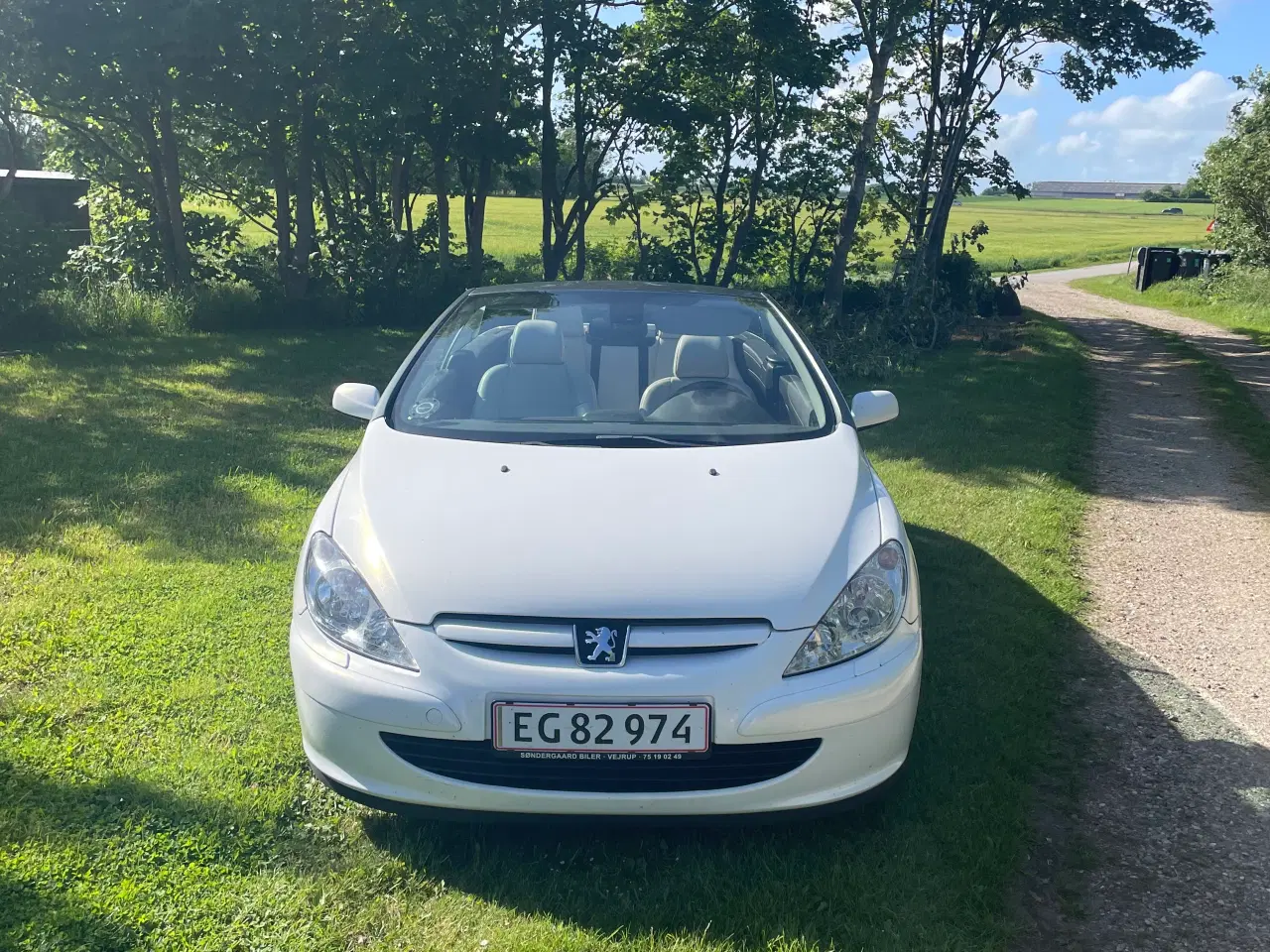 Billede 9 - Peugeot 307 CC cabriolet 