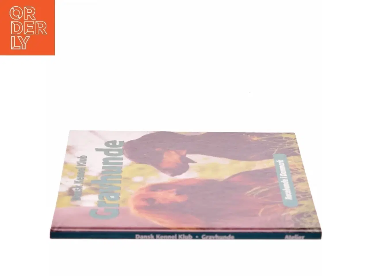 Billede 2 - Gravhunde af Maria Metzger (Bog)