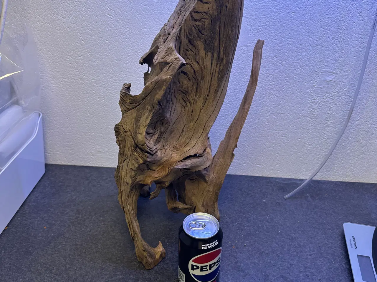 Billede 4 - Trærødder