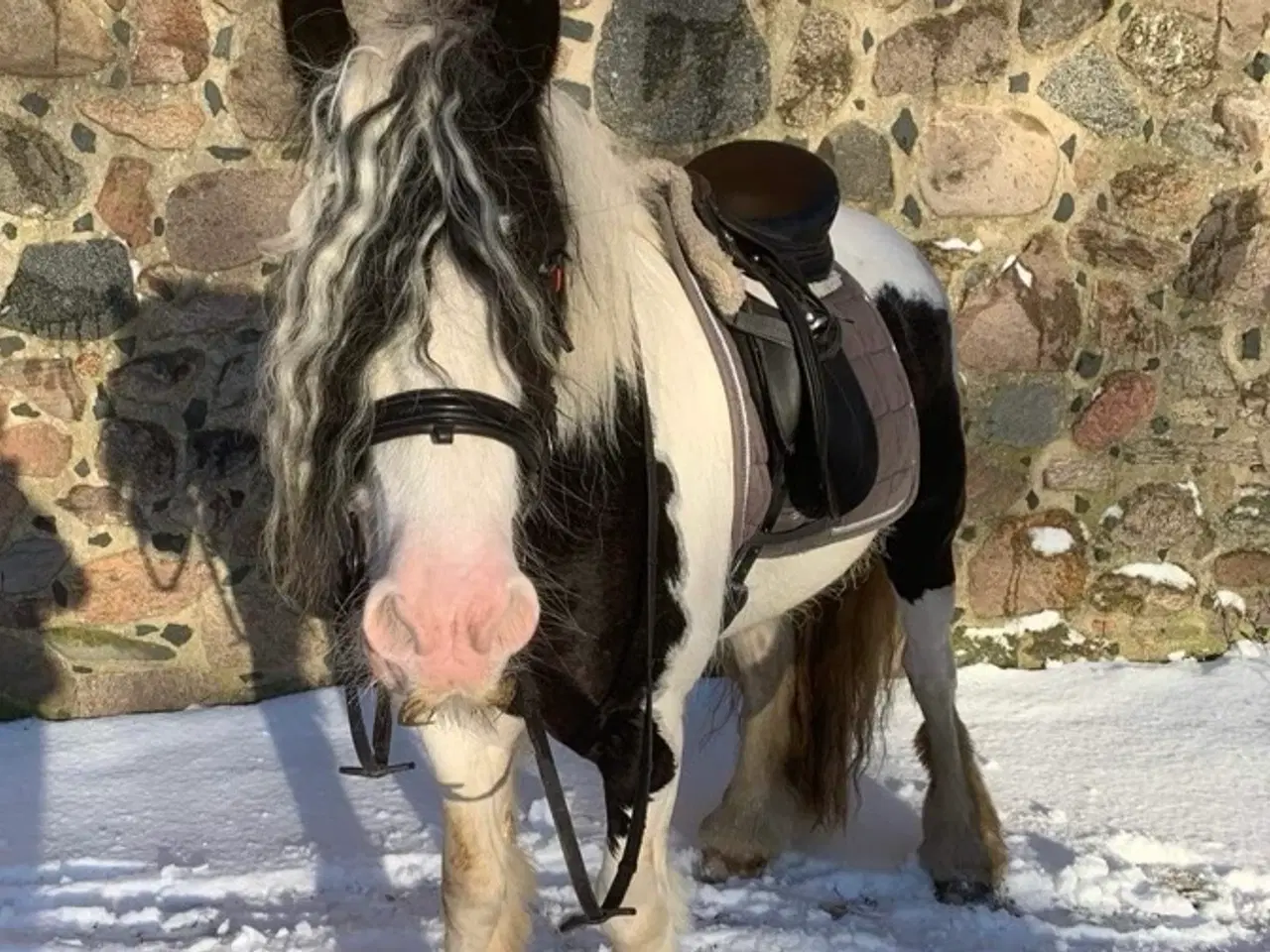 Billede 2 - Smart tinker pony 