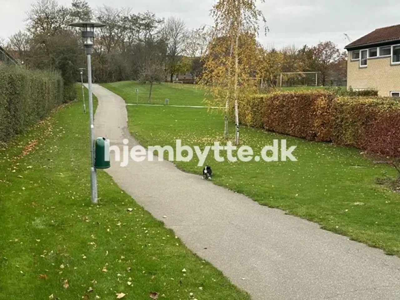 Billede 11 - Hjembytte - Elmeparken