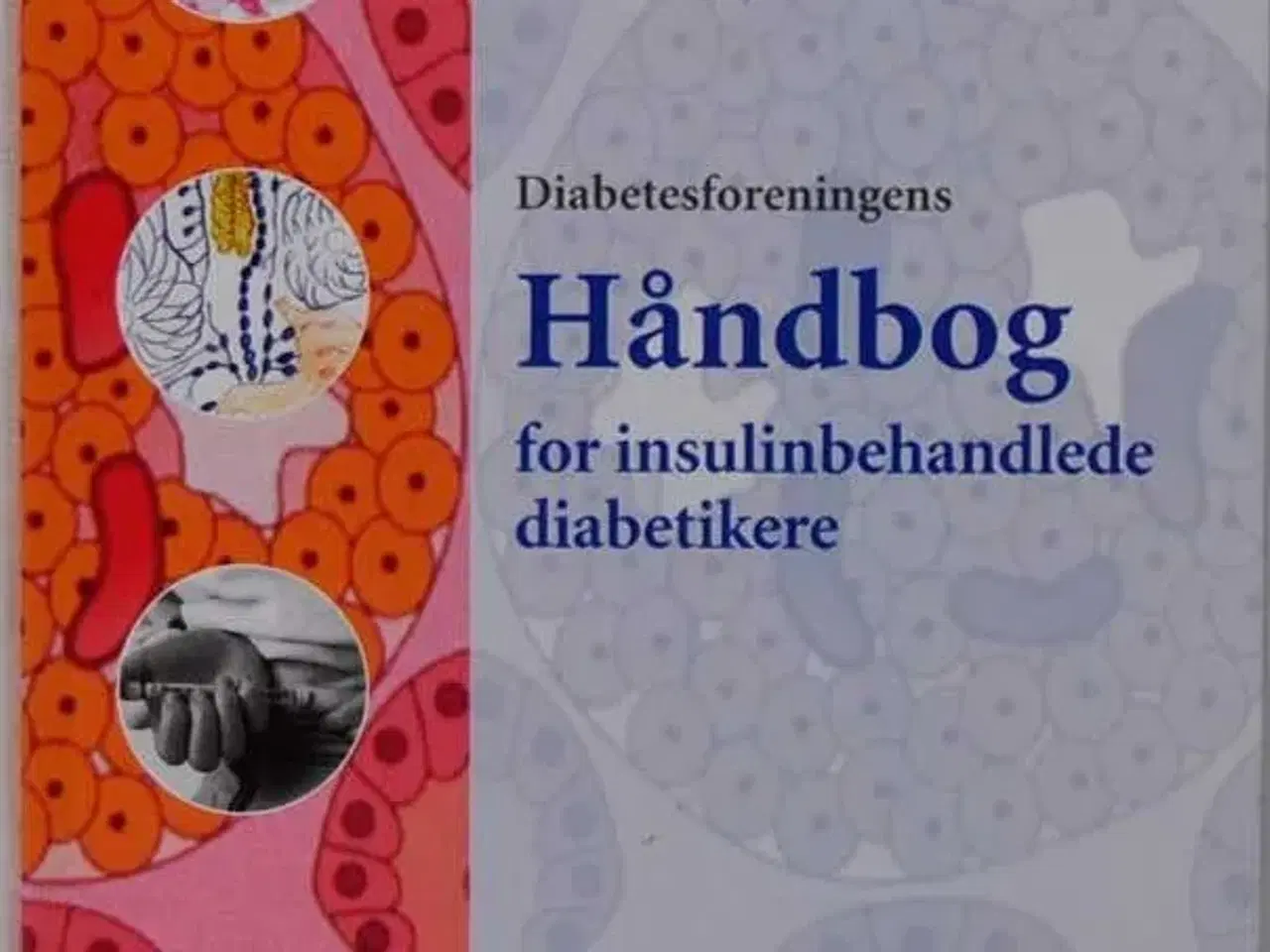 Billede 1 - Håndbog for insulinbehandlede diabetiker